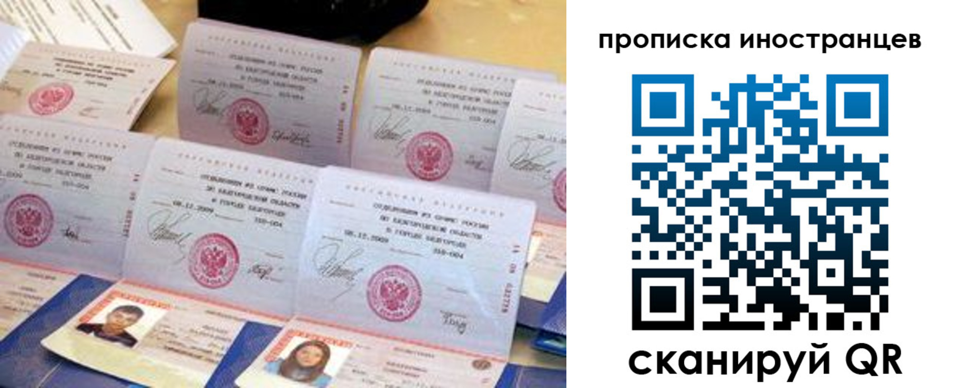 прописка для школы в Дмитрове